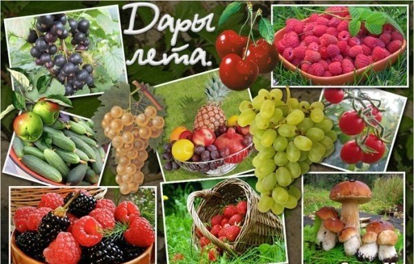 Дары лета бывают опасными!