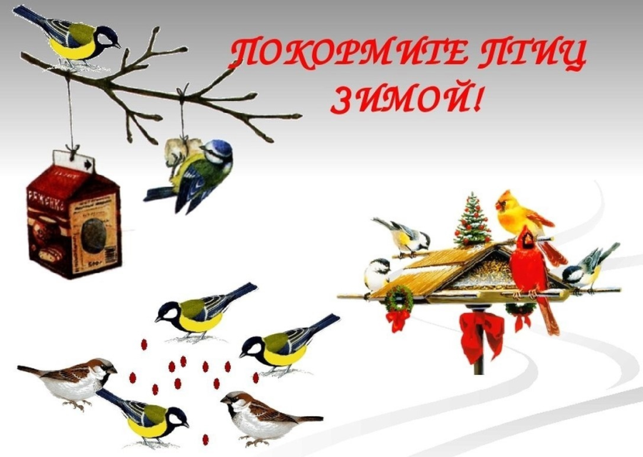 Покормите птиц зимой!