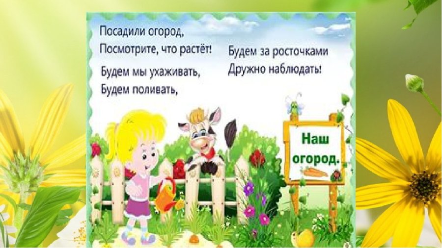 Чудо-огород на окошке живёт!