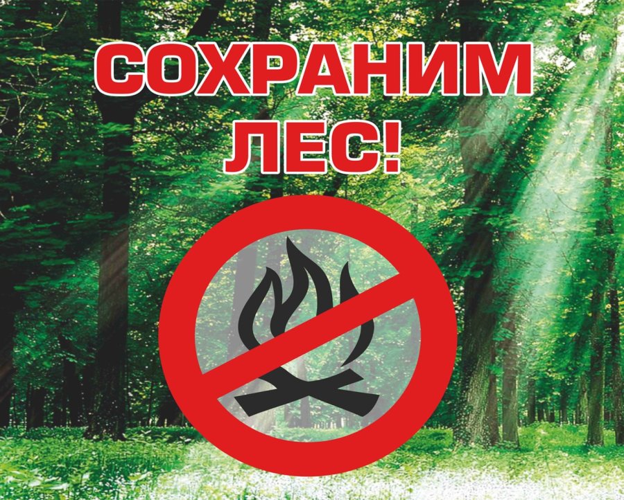 ЛЕСНЫЕ ПОЖАРЫ