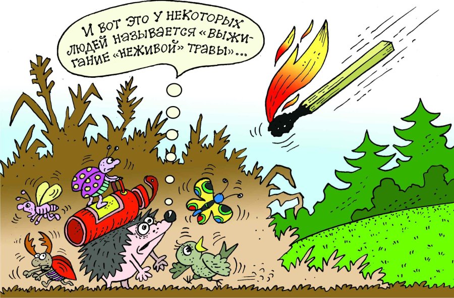 Весенние палы травы. Берегите природу и свою безопасность!