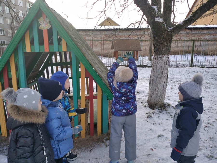 Акция “Угощение для пернатых”