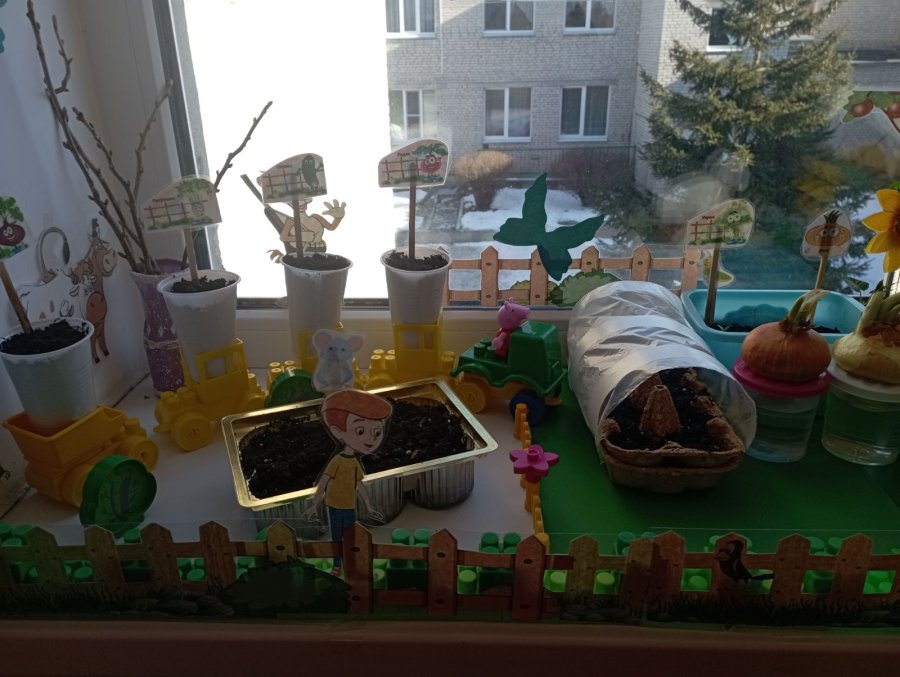 Огород на подоконнике!