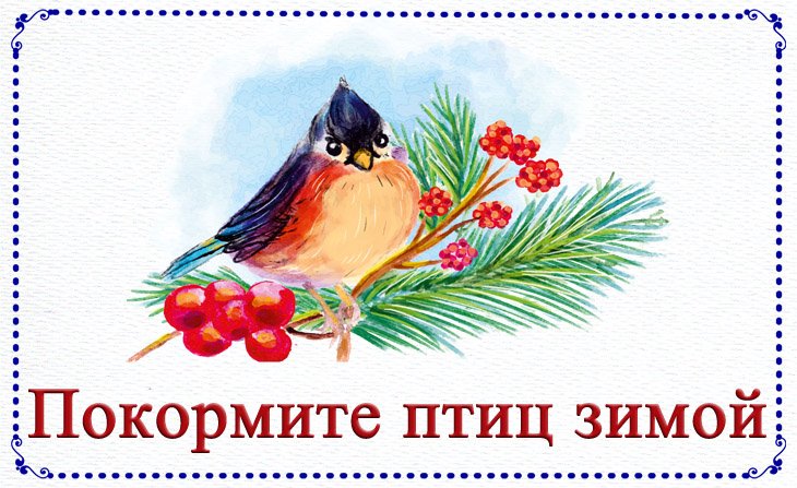 Покормите птиц зимой!!!