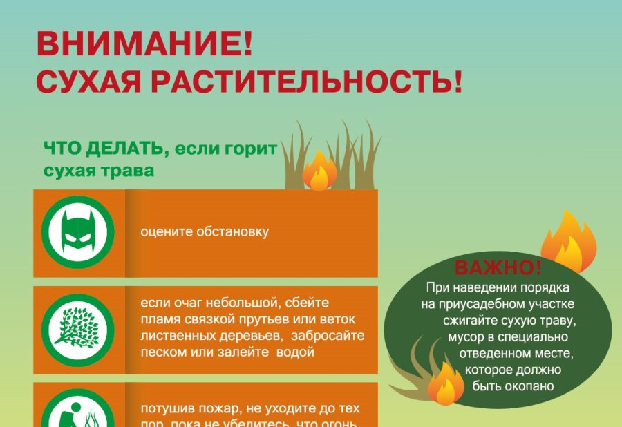 Весенние пожары: опасности и меры предосторожности