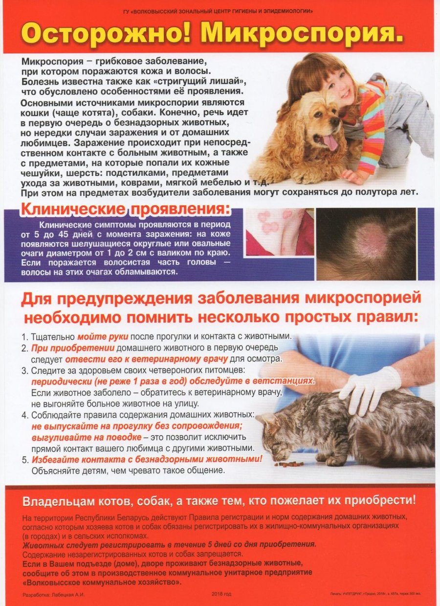 Осторожно! Микроскопия!