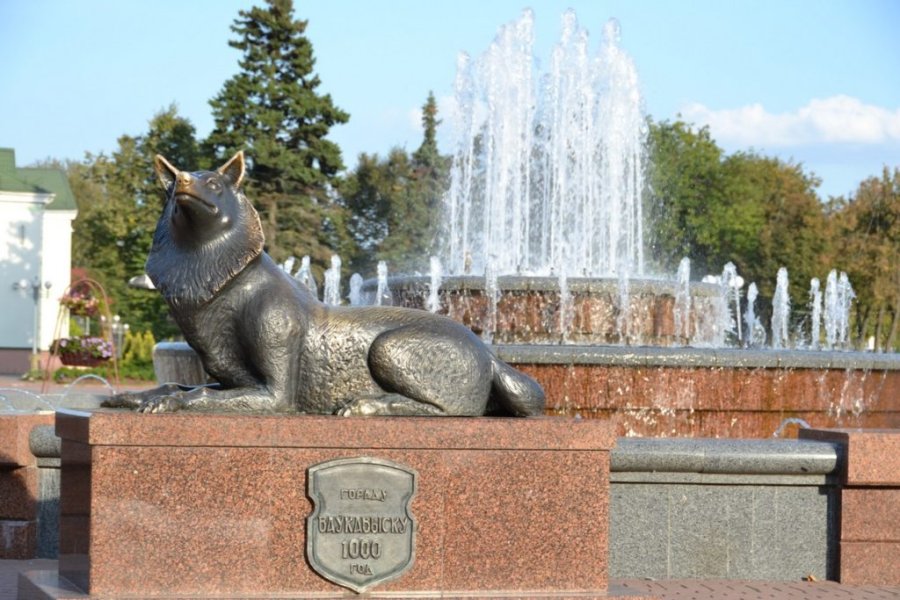Мой Волковыск